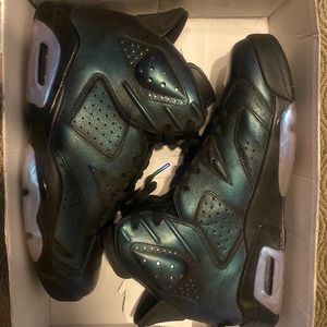 Jordan Retro 6 chameleon